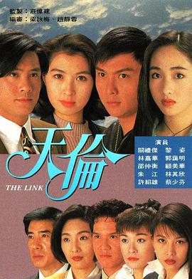 天伦1993第33集