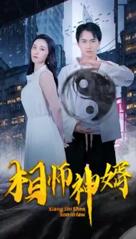 相师神婿第1-20集